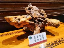 -丁香花园申粤轩·宴会厅