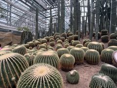-南山植物园