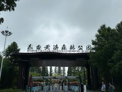 -黄海国家森林公园