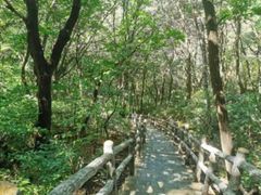 -野三坡百草畔景区