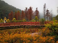 -广州市石门国家森林公园