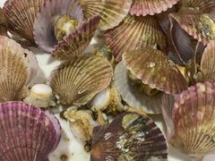 -张树军海鲜(王府壹号店)