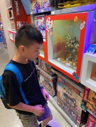 -乐高品牌旗舰店(人民广场店)