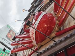 -蟹道乐(道顿堀本店)