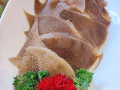 精品鲜毛肚-热火朝天鲜切牛肉火锅(南强街巷店)