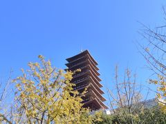 -牛首山文化旅游区