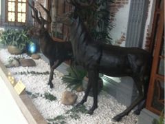 iphone_upload_pic-57度湘