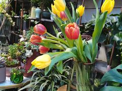 -循礼门鲜花花市(武汉循礼门店)