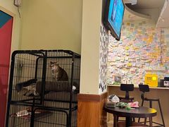 -H立方实景剧情密室(天河旗舰店)
