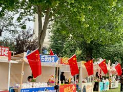 -西苑公园