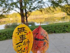 -北坞公园