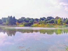 -苏州东太湖生态园