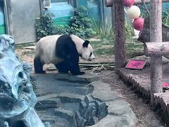 -大连森林动物园