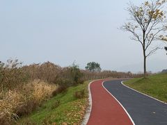 -东钱湖旅游度假区