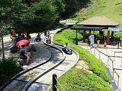-圣淘沙天际线斜坡滑车