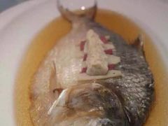 清蒸鲥鱼-福1039(愚园路店)
