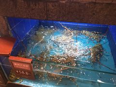 -徐记海鲜(陕西历史博物馆|明德门店)