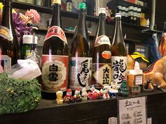 -金龙咖喱