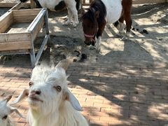 -水上乐园·欢乐世界