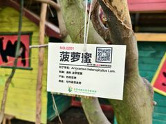 -呀路古热带植物园