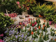 -双季花艺园艺市场(浦东店)