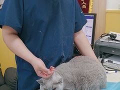 -瑞派·爱瑞可动物医院·口腔专科(广华新城分院)