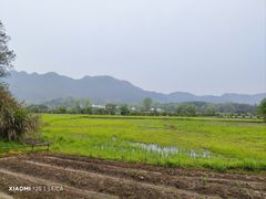 -黟县屏山村