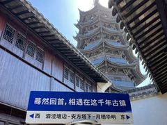 -月栖华明-云间草堂清茶馆(泗泾古镇店)