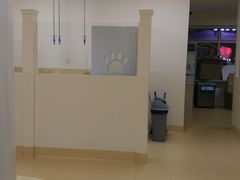 -瑞派宠物医院·24小时骨科·心脏·核磁(哈尔滨南岗店)