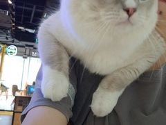 -1点点(东门电玩城店)