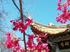 景点-昆明动物园