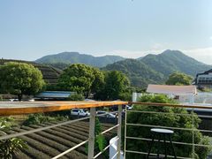-龙坞茶村
