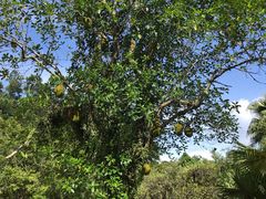 -五邑人家(江门店)