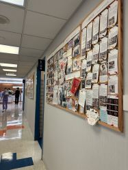 -杭州贝瑞斯美华妇儿医院·早孕·产检·儿科