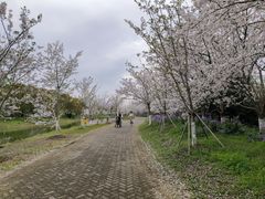 -上海海湾国家森林公园