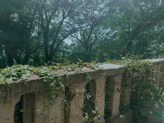 -上海佘山国家森林公园西佘山园