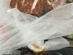 -竺桥兄弟烤鸭馆(竺桥店)