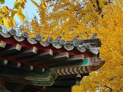 -红螺寺
