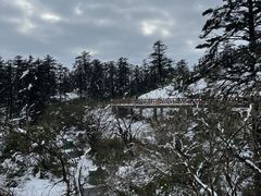 -瓦屋山景区