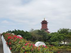 -厦门园林博览苑