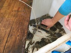 -芸海阁·农家私房菜(沙家浜景区出口店)