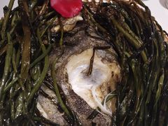 香葱鸦片鱼头-老吉士(环贸iapm店)