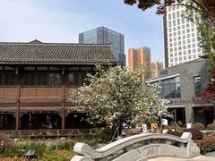 -铁像寺水街