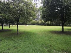 -温江公园
