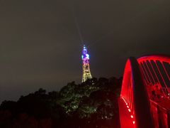 -金鸡山公园