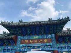 -曹州牡丹园