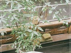 -唔呶喔哩酒家(生产街店)