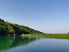 -龙坞茶村
