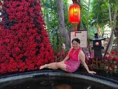 -东方华地城湿地温泉度假区