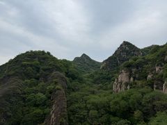 -大岭沟猕猴桃谷风景区